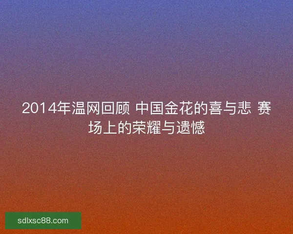 2014年温网回顾 中国金花的喜与悲 赛场上的荣耀与遗憾